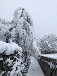 Winter 3 -20.jpg